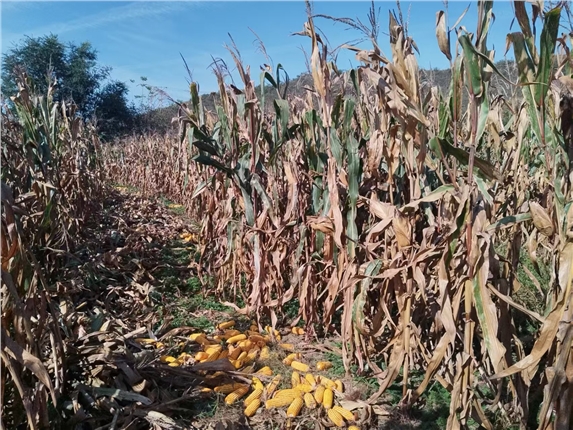 34852093d1fe3403726d94ad407d6851.jpg 34852093d1fe3403726d94ad407d6851.jpg